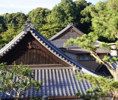 Traditional tiled roofs and wooden eaves of Gyokuzoin surrounded by green hillside trees in Nara, Kansai