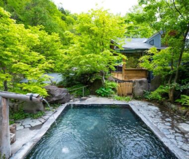 Stone outdoor onsen surrounded by lush green trees at Hacho no Yu in Tochigi