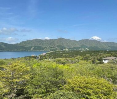 Lake Ashi and verdant hillside with distant snow-capped peak, view from Hakone Ashinoko Bikeikan in Kanagawa
