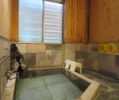 Indoor tiled stone bath with wooden walls and stools at Hakone Miyanoshita Myojokan, Kanagawa