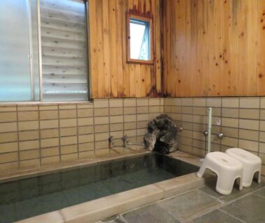 Indoor wooden onsen bath with stools Hakone Miyanoshita Myojokan Kanagawa Kanto