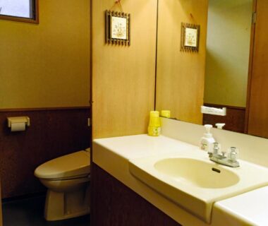Small ryokan bathroom with sink, mirror, toiletries and toilet, wooden paneling, Hakone Sanso Nakamura Kanagawa