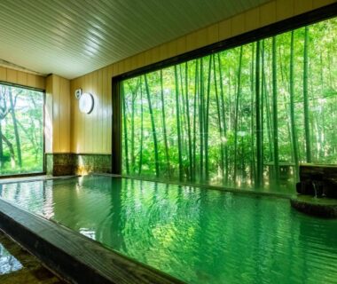 Indoor onsen bath with bamboo grove view at Hakone Onsen Sanso Nakamura, Kanagawa, Japan