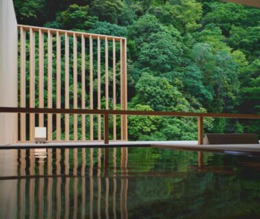 Onsen bath opening to lush forest with wooden railing and reflective water at Hakone Pax Yoshino, Kanagawa