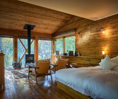 Wood-paneled room with double bed, wood-burning stove and large windows overlooking trees at Hakone Retreat villa 1/f