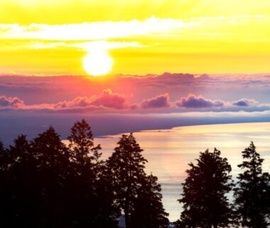 Golden sunrise above calm water, silhouetted shoreline trees and layered clouds on the horizon