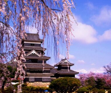 Traditional Japanese castle framed by cherry blossoms near Hakuraiso in Nagano, Chūbu region