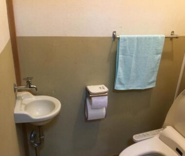 Small toilet with bidet seat, corner sink, towel rack and toilet paper holder at Hamayuu, Shizuoka