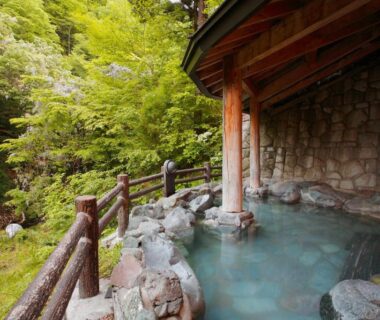 Rock-lined outdoor onsen with wooden shelter at Hana to Hana in Tochigi, Kantō, Japan