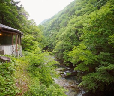 Wooden veranda overlooking a mountain stream and lush forest at Hana to Hana in Tochigi