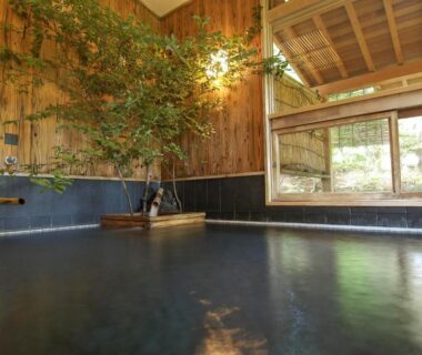 Wood-lined indoor onsen bath with garden view at Hanafubuki ryokan in Shizuoka, Chūbu