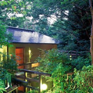 Elevated wooden walkway and illuminated guesthouse nestled in lush forest at Hanafubuki, Shizuoka