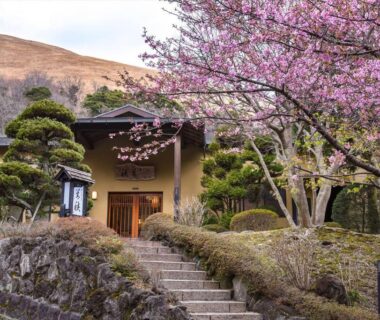 Stone steps to Hanare Yado Yosizumi entrance with cherry blossoms and sculpted pines in Shizuoka