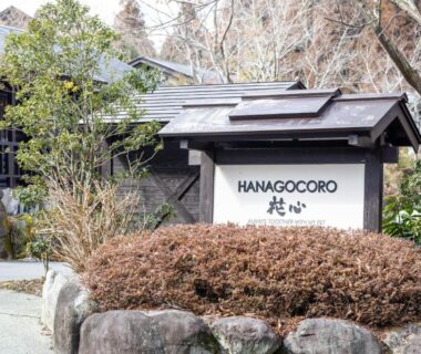 Wooden signboard reading HANAGOCORO beside stone path and landscaped shrubs at ryokan entrance in Kumamoto