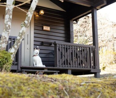 Wooden cottage veranda with small white dog figure at Hanare no Yado Hanagokoro, Kumamoto