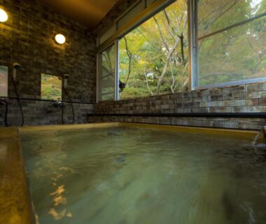 Stone-lined indoor onsen with large window overlooking trees at Hashinoya Bekkan Ransui, Hyōgo