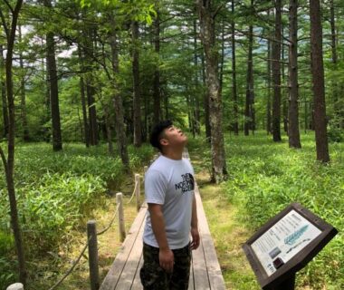 Guest strolling on wooden boardwalk through pine forest near informational sign at Hatago Nagomi, Tochigi