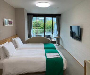 Twin beds with green runners, balcony overlooking trees, wall-mounted TV and small table in Hatago Nagomi room, Tochigi