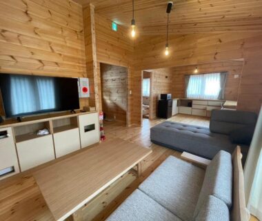Wood-paneled sitting area with sofas, low table and TV at Hatagoya Jozankei Shoten, Hokkaidō