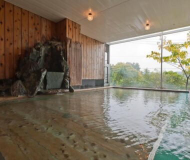 Indoor onsen bath with wooden paneling and stone feature at Hatoya Hotel, Shizuoka, Chūbu, Japan