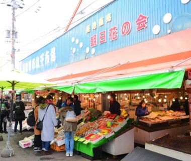 Busy street market with produce and seafood stalls, green awnings and vendors, Henmi Ryokan Hokkaidō Japan