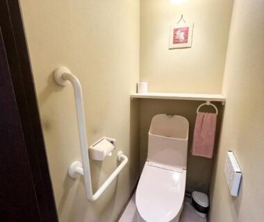 Toilet stall with grab bar, wall light and towel shelf at Henmi Ryokan, Hokkaidō Japan