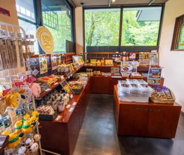 Souvenir shop interior at Hidamari Ichinoyu in Kanagawa with wooden displays and greenery visible through windows
