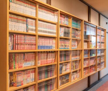 Corridor lined with manga shelves inside Hidatakayama Futarishizuka Hakuun Gifu