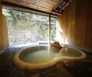 Stone-edged wooden onsen bath with open view to a wooded slope at Hinatamikan in Gunma, Kantō