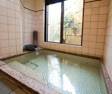 Indoor tiled bathing area with mosaic floor and window overlooking a small garden at Hinodeya ryokan, Shizuoka