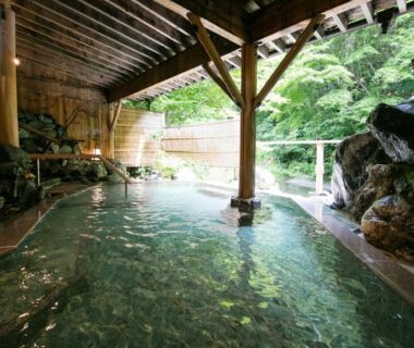 Covered onsen bath with wooden beams, rock edging and forest view at Honke Bankyu in Tochigi