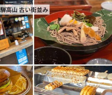 Assorted soba, grilled skewers and burger at Hostel Murasaki, Chūbu Gifu Japan