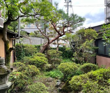 Courtyard garden with stone lantern and pruned pine at Hostel Murasaki, Gifu