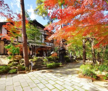 Stone pathway and vibrant maple trees leading to Hotakajo in Nagano