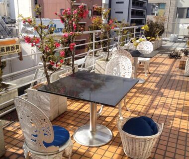 Outdoor rooftop terrace with small tables, wicker chairs and potted plants overlooking Tokyo city buildings