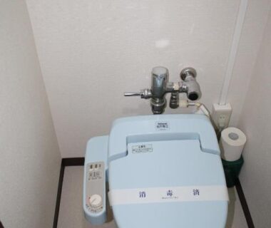 Light blue bidet toilet with integrated faucet and control panel, toilet paper beside it at Hotel Grand Toya, Hokkaidō