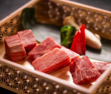 Sliced raw beef and vegetables on decorative tray at Hotel Hotaka in Gifu, Chūbu