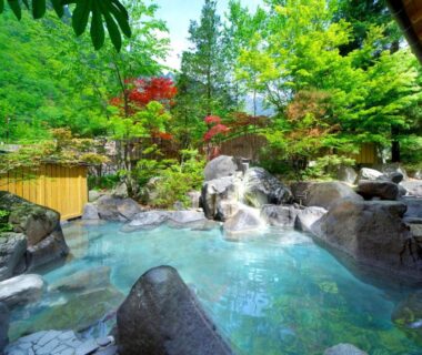 Rock-lined outdoor onsen surrounded by lush green trees and stone features at Hotel Hotaka in Gifu