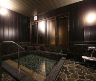 Indoor stone bathing area with tiled floor and shower, Hotel Housei, Nagano, Chūbu, Japan