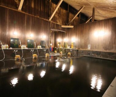 Wood-paneled indoor onsen with washing stations and soaking pool at Hotel Housei in Nagano