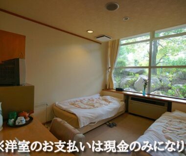 Western-style room with single bed, garden view through large window, TV and electric kettle
