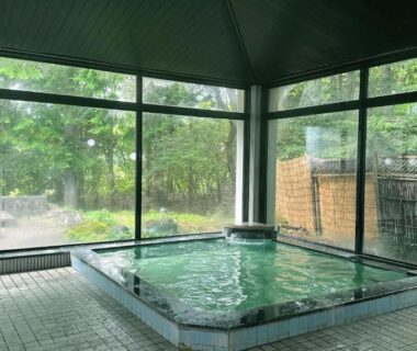 Tiled indoor onsen bath with large windows overlooking an enclosed garden at Hotel Kosho in Tochigi