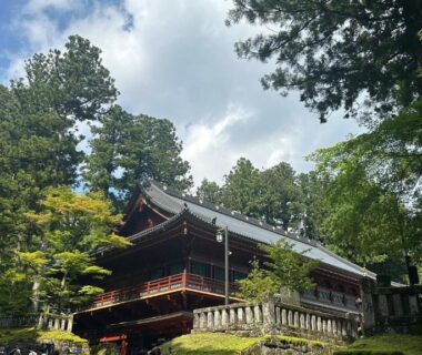 Multilevel wooden building with traditional architecture framed by tall evergreen trees and stone steps at Hotel Kosho Tochigi