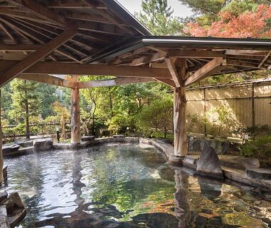Stone-lined onsen under wooden pavilion with garden foliage at Hotel Koyokan, Iwate