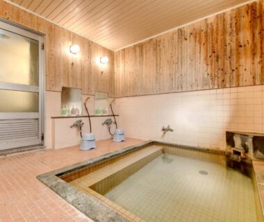 Tiled indoor onsen with wooden paneling and low soaking tub at Hotel La Montagne Furuhata in Nagano