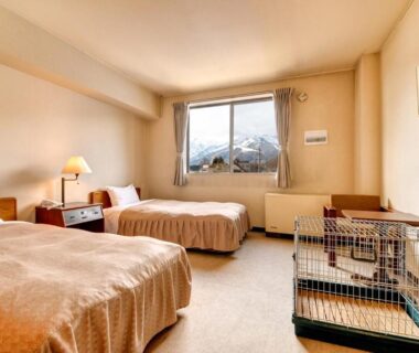 Twin room with two beds and mountain view at Hotel La Montagne Furuhata, Nagano