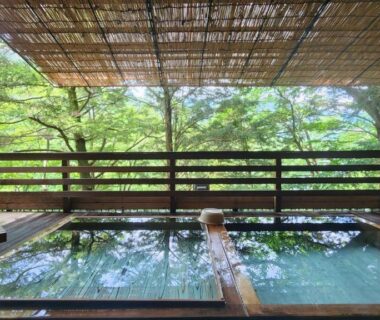 Hotel Manyotei