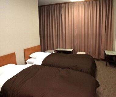 Two single beds with brown duvets in Hotel New Kotobuki Nagano room