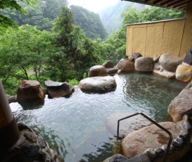 Rock-lined outdoor onsen pool with mountain greenery at Hotel New Ohruri in Tochigi, Kanto