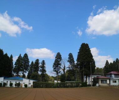 Wide field, tall evergreen trees, and low buildings at Hotel New Otani in Chiba, Kantō, Japan